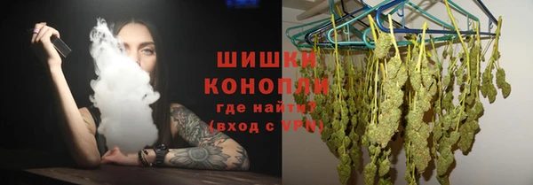 соль ск Няндома