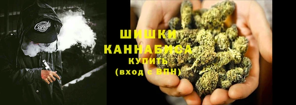 соль ск Няндома
