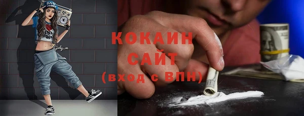 соль ск Няндома