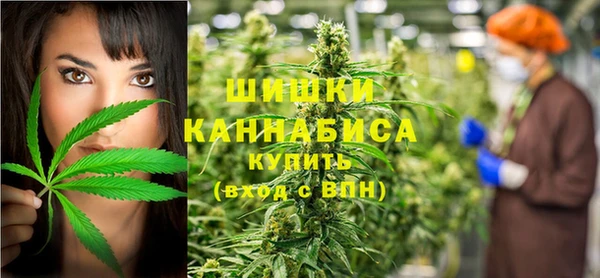 соль ск Няндома