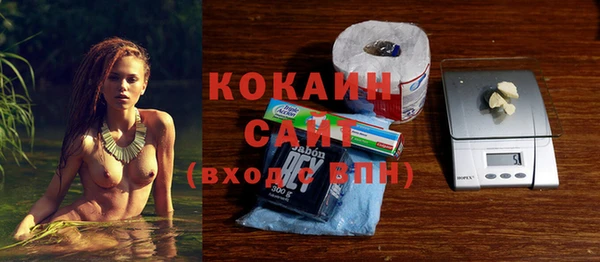 соль ск Няндома
