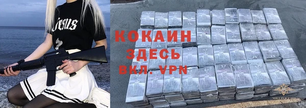 соль ск Няндома
