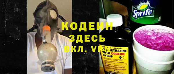 соль ск Няндома