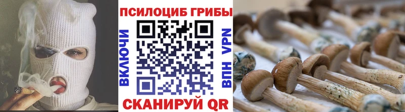 что такое   Остров  Галлюциногенные грибы Psilocybe 